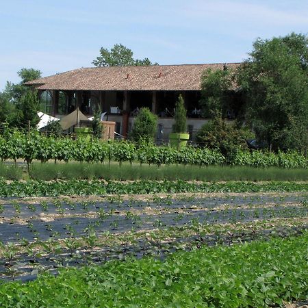 Agriturismo Cascina Caremma Besate Exterior photo