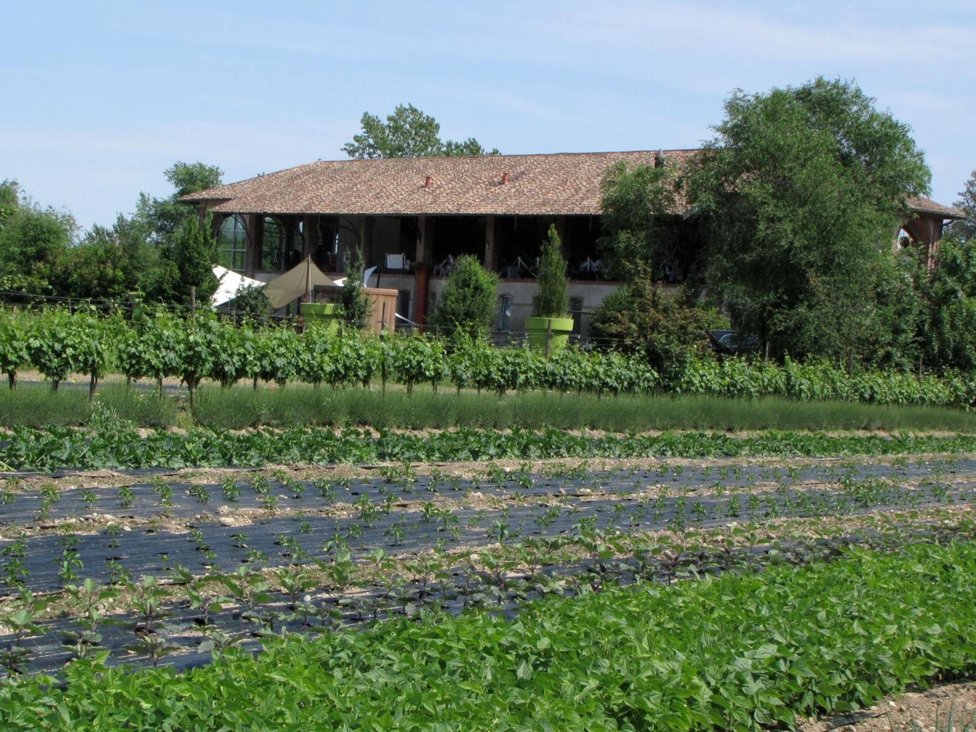 Agriturismo Cascina Caremma Besate Exterior photo