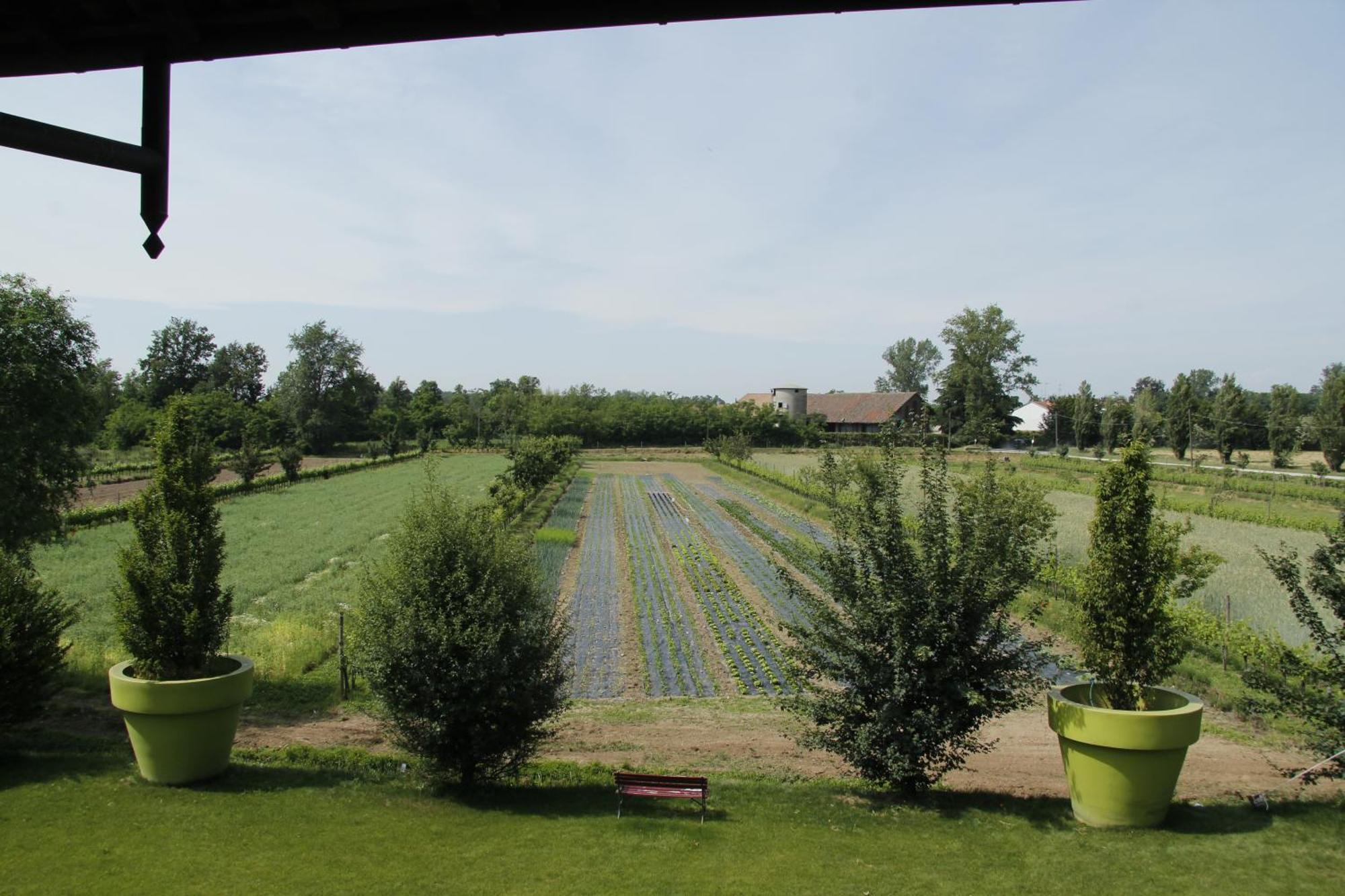 Agriturismo Cascina Caremma Besate Exterior photo
