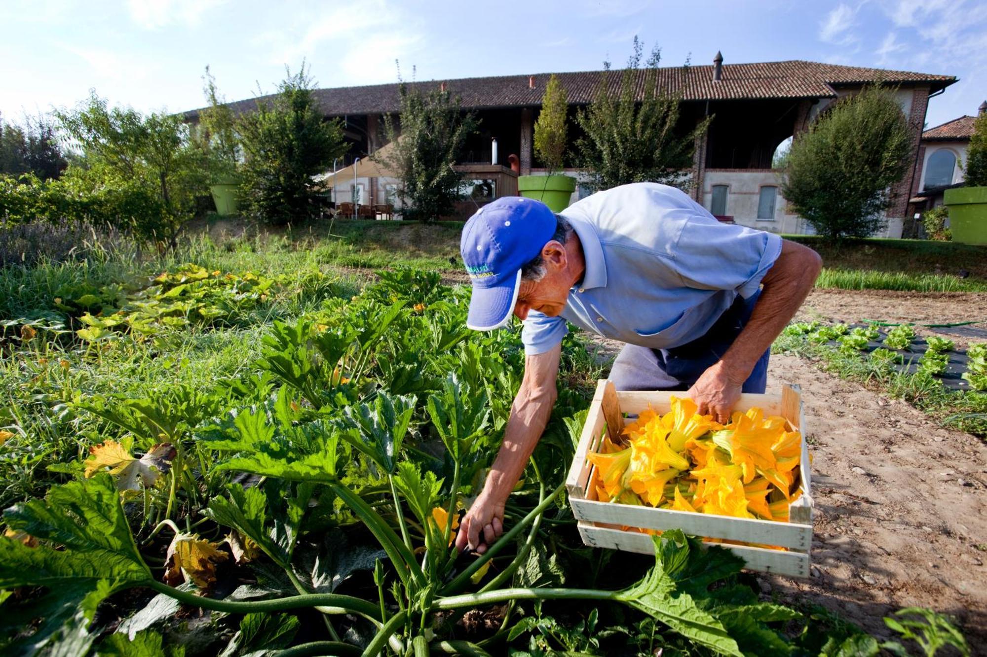 Agriturismo Cascina Caremma Besate Exterior photo