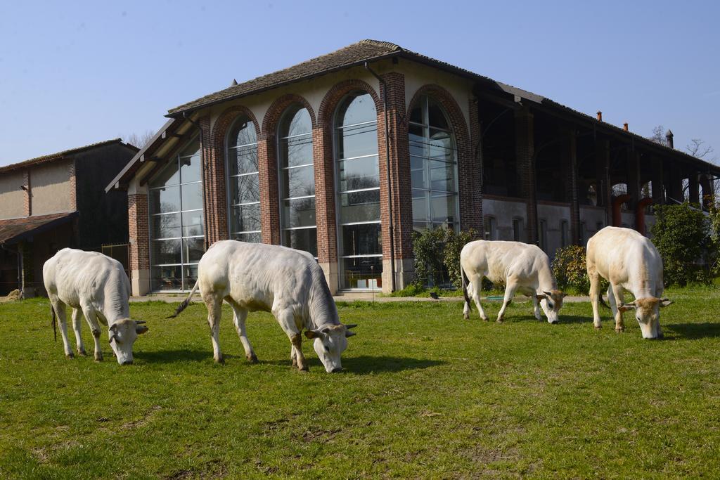 Agriturismo Cascina Caremma Besate Exterior photo